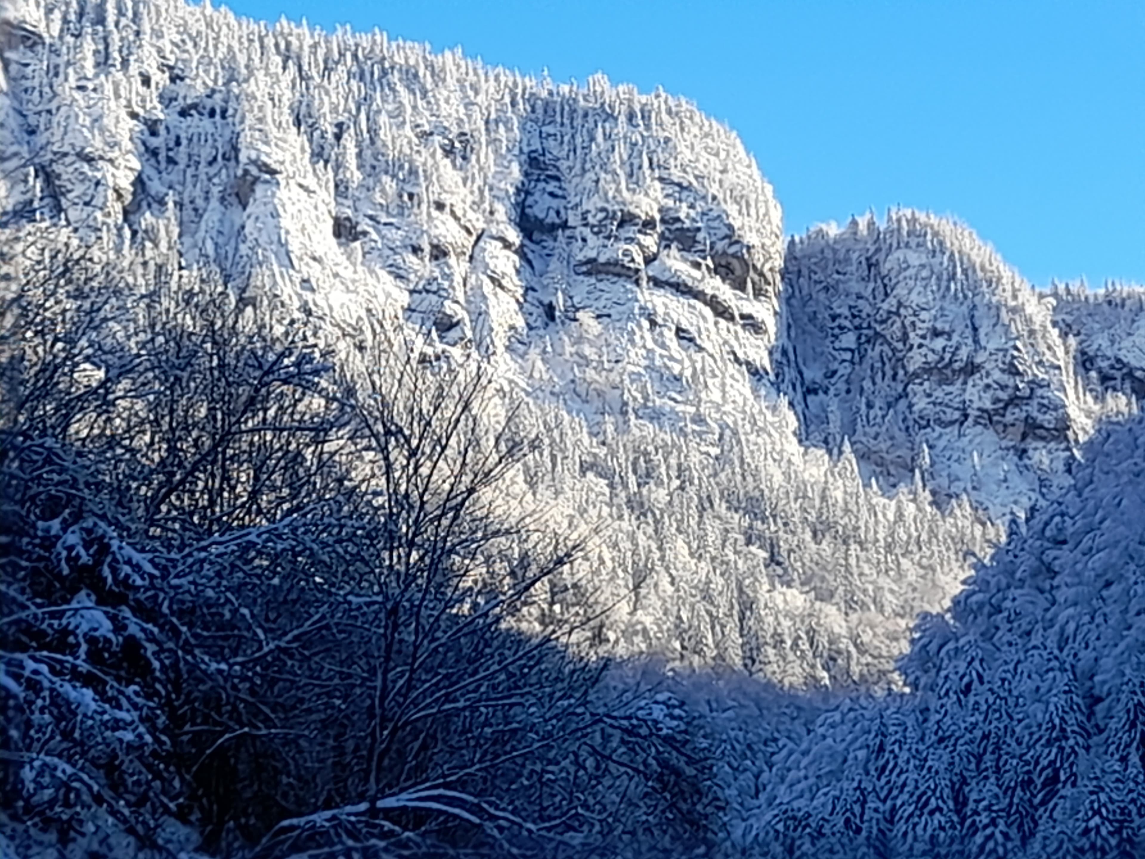 Vue sur la montagne enneigée depuis la maison